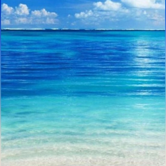 Meet your Posher, Amber - Picture 1 of 1